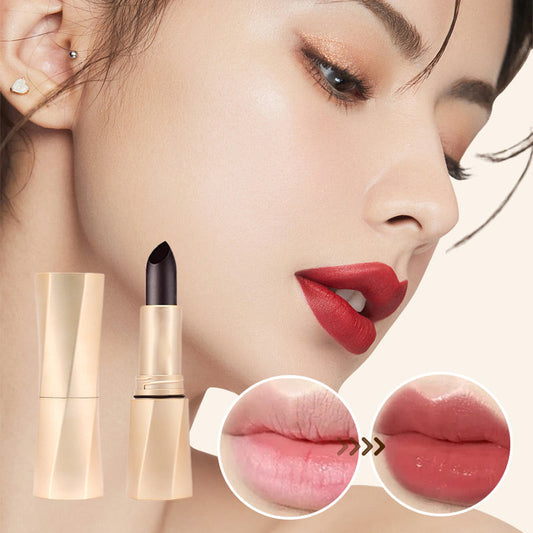 🎉Hot Sale🎉Multi-Functional Long-Lasting Color Lipstick